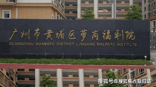 乐发彩票-追求健康,你我一起成长广州市黄